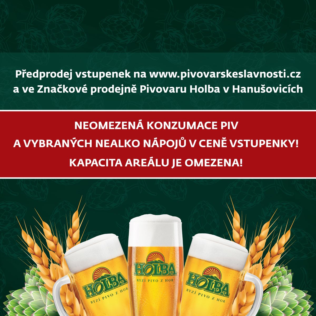 Obrázek - Instagram_04.jpg